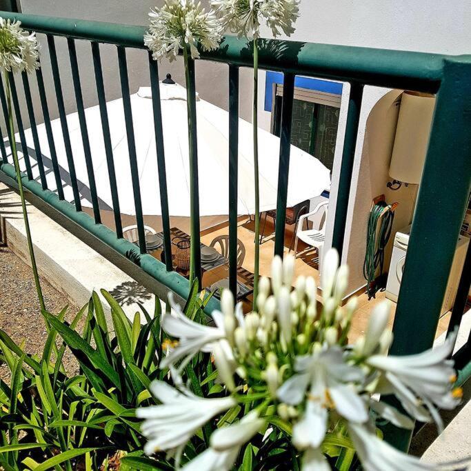 Apartamento Encantador A 100M Da Praia Carvoeiro (Lagoa) Exterior foto